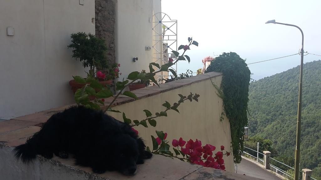 Le Terrazze Di Cristina Bed & Breakfast Vietri sul Mare Exterior photo