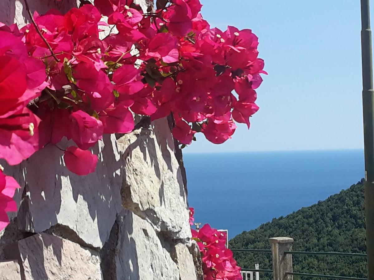 Le Terrazze Di Cristina Bed & Breakfast Vietri sul Mare Exterior photo