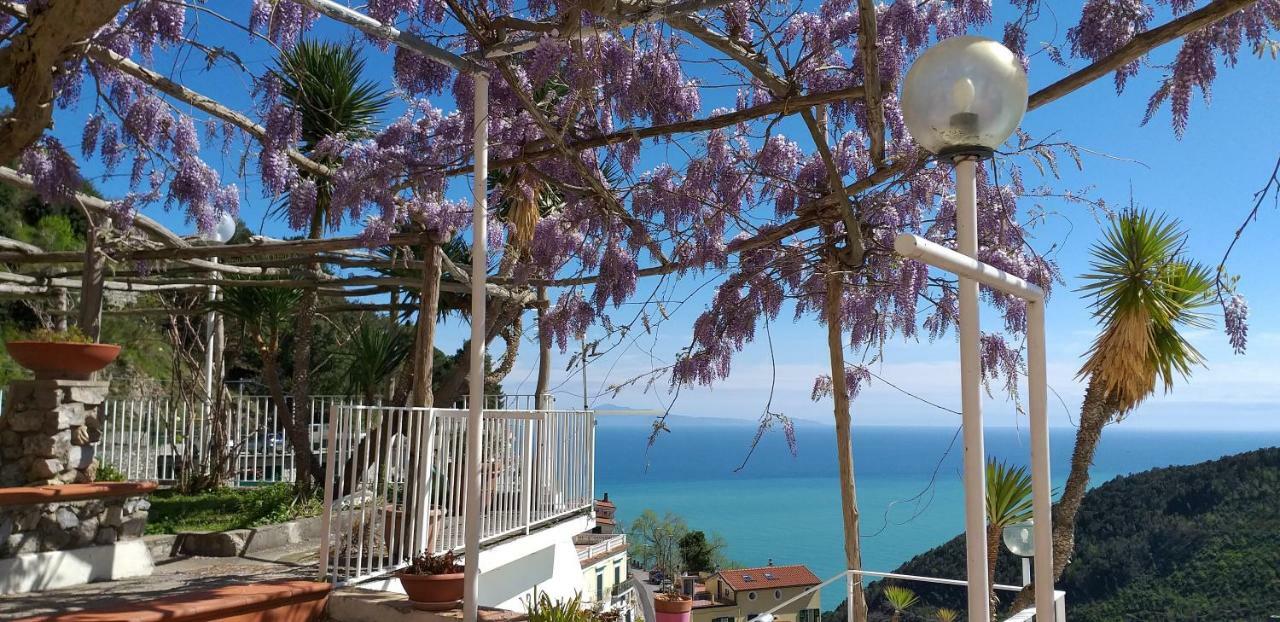 Le Terrazze Di Cristina Bed & Breakfast Vietri sul Mare Exterior photo