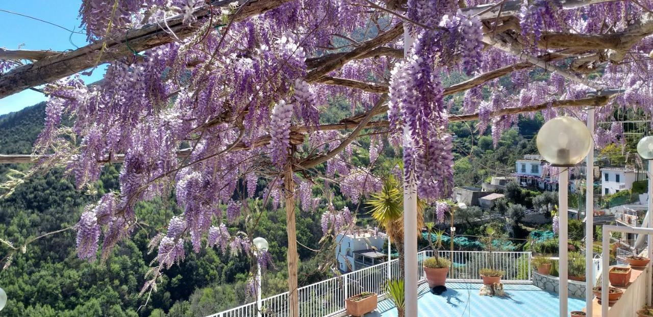 Le Terrazze Di Cristina Bed & Breakfast Vietri sul Mare Exterior photo