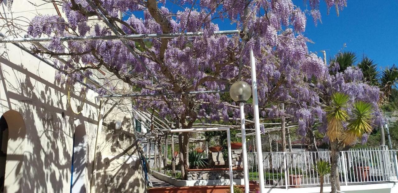 Le Terrazze Di Cristina Bed & Breakfast Vietri sul Mare Exterior photo